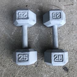 Pair of 25 Lb Steel Dumbbells 