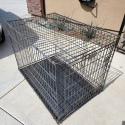 Large Dog Kennel