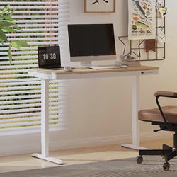 Electric Standing Desk 