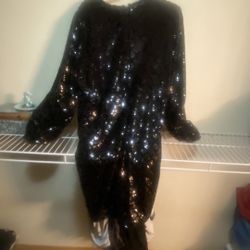 Dress Velour Sequin Dress Never Worn 