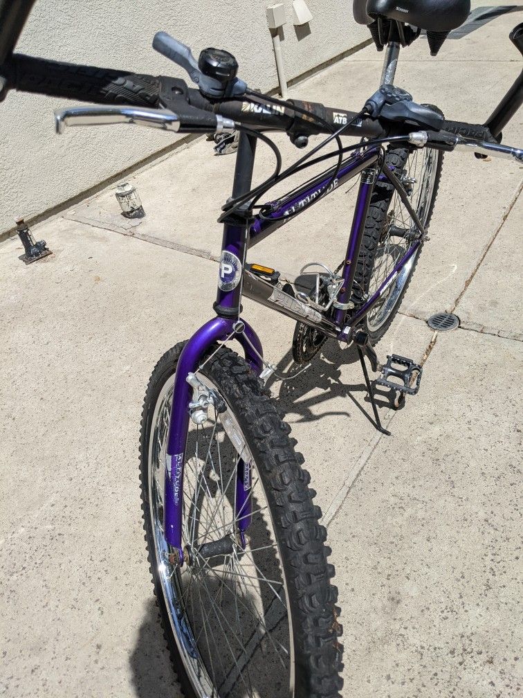 Trek 21-speed Mtn Bike