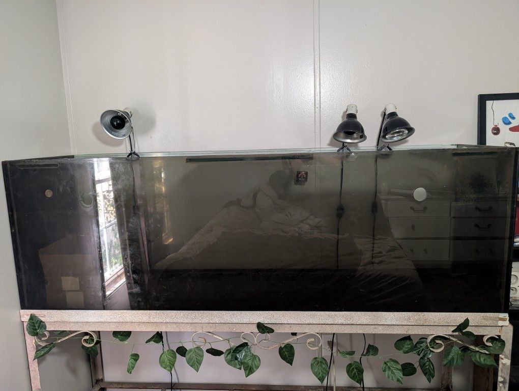 Great Deal! Complete 135G Tank & Stand Combo - Must Go!