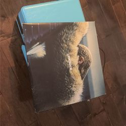 Teal Record Player including Beyoncé‘S Lemonade Album.