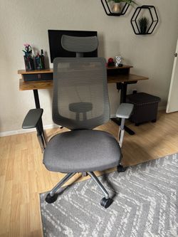 Ergonomic Office Chair – Gray, Used Like New