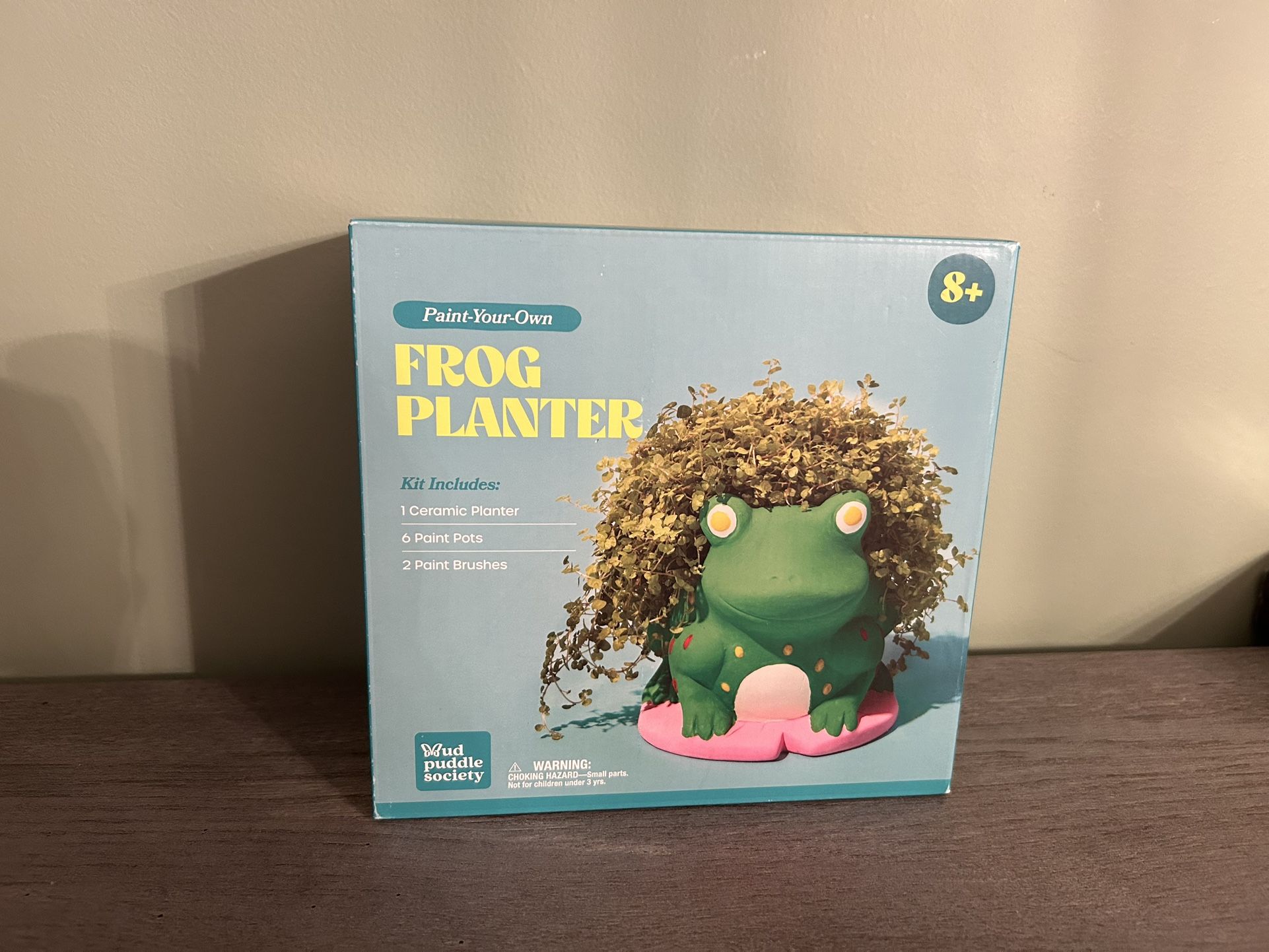 Paint Your Own Frog Planter