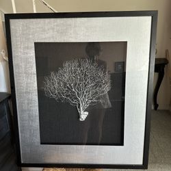 Black & Silver 3-D Coral Large Picture