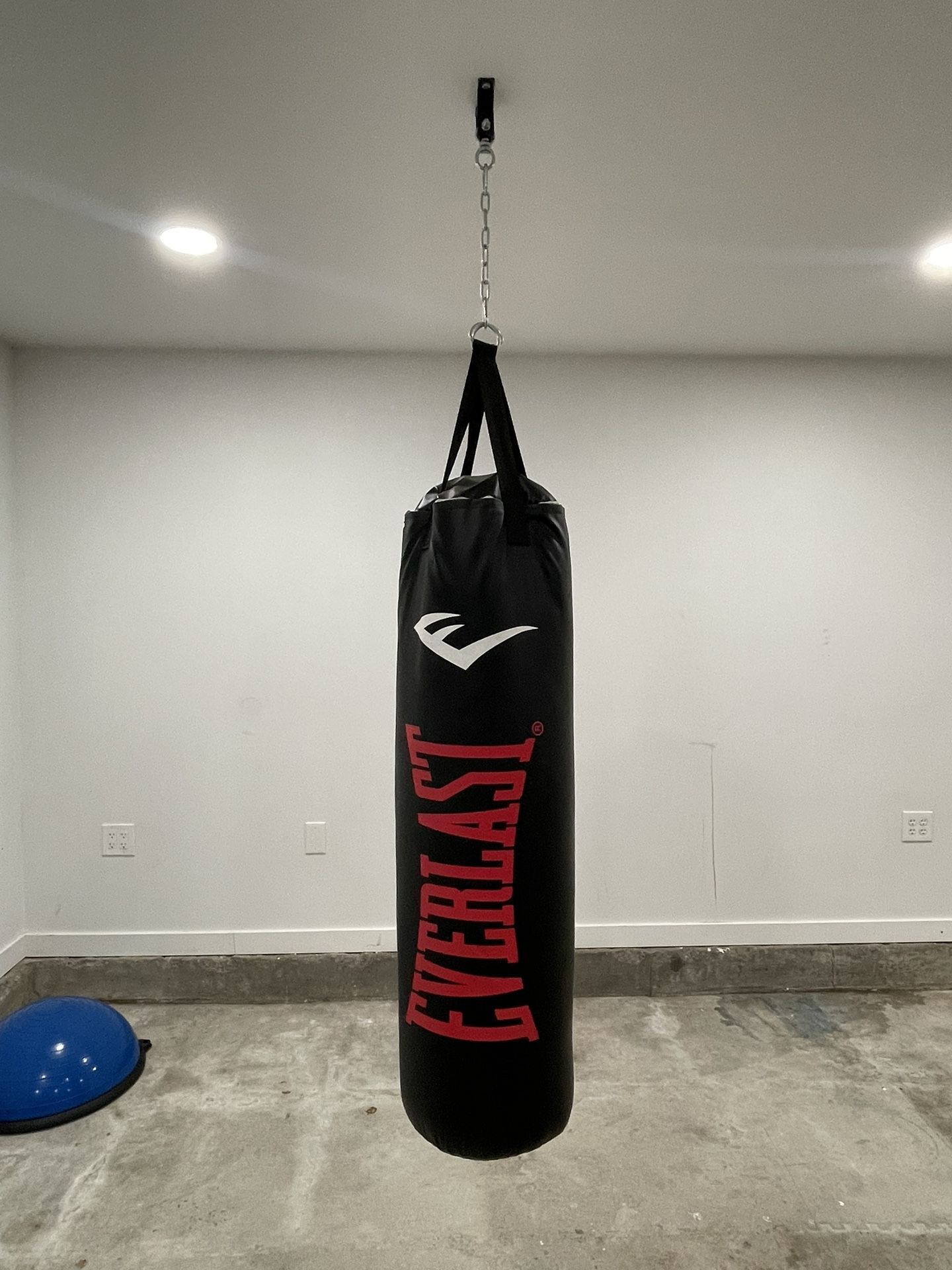 Everlast 100lb Punching Bag w/ Chain Like New