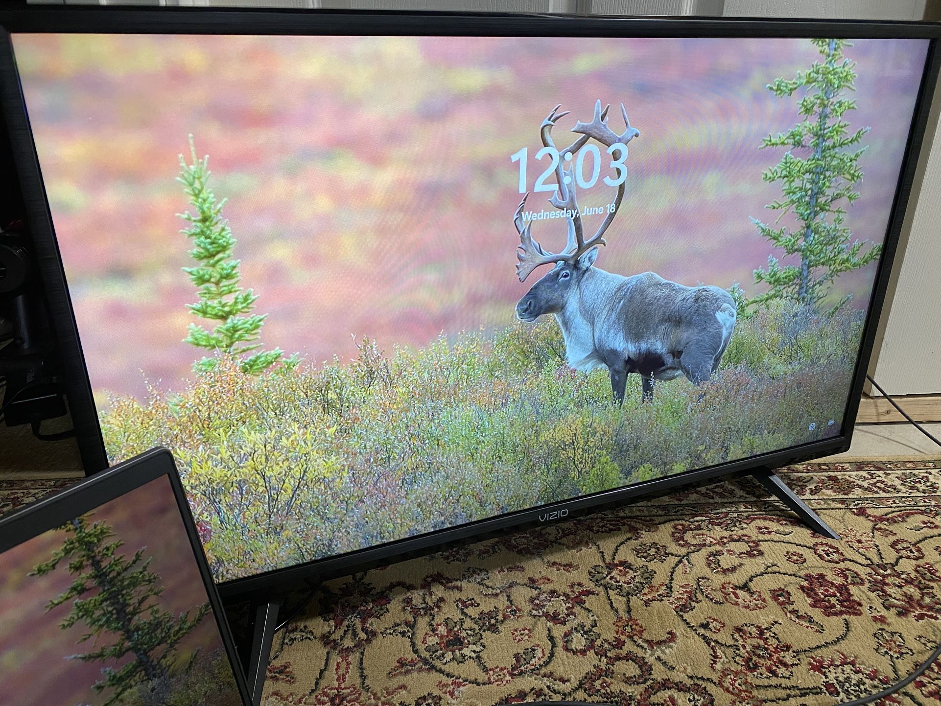 VIZIO 32-inch D-Series - Full HD 1080p Smart TV
