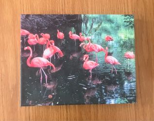 Tropical Flamingo Canvas Wall Art