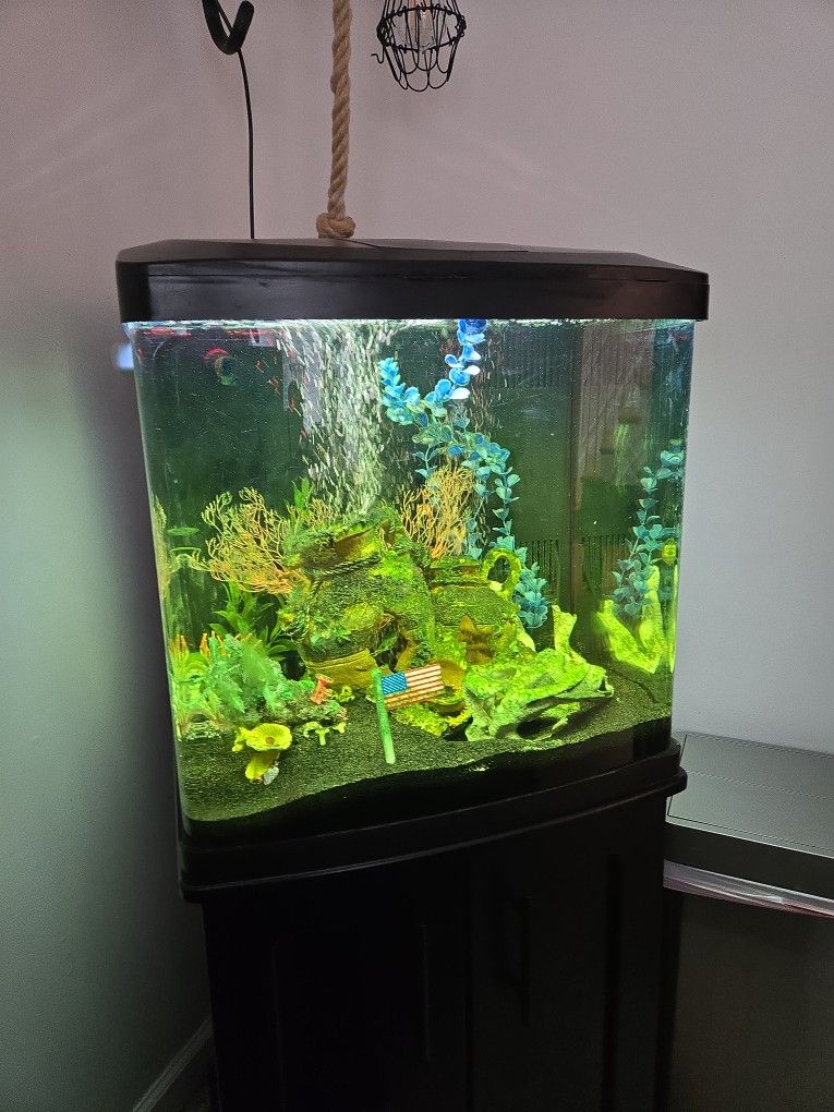 Fish Tank For Sale