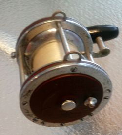 Star Deluxe fishing rod with Penn reel