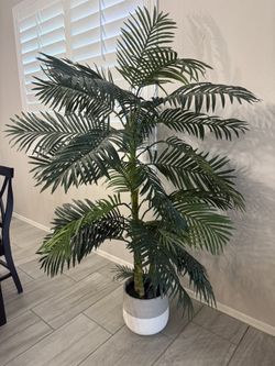 Fake Palm With Ceramic Pot