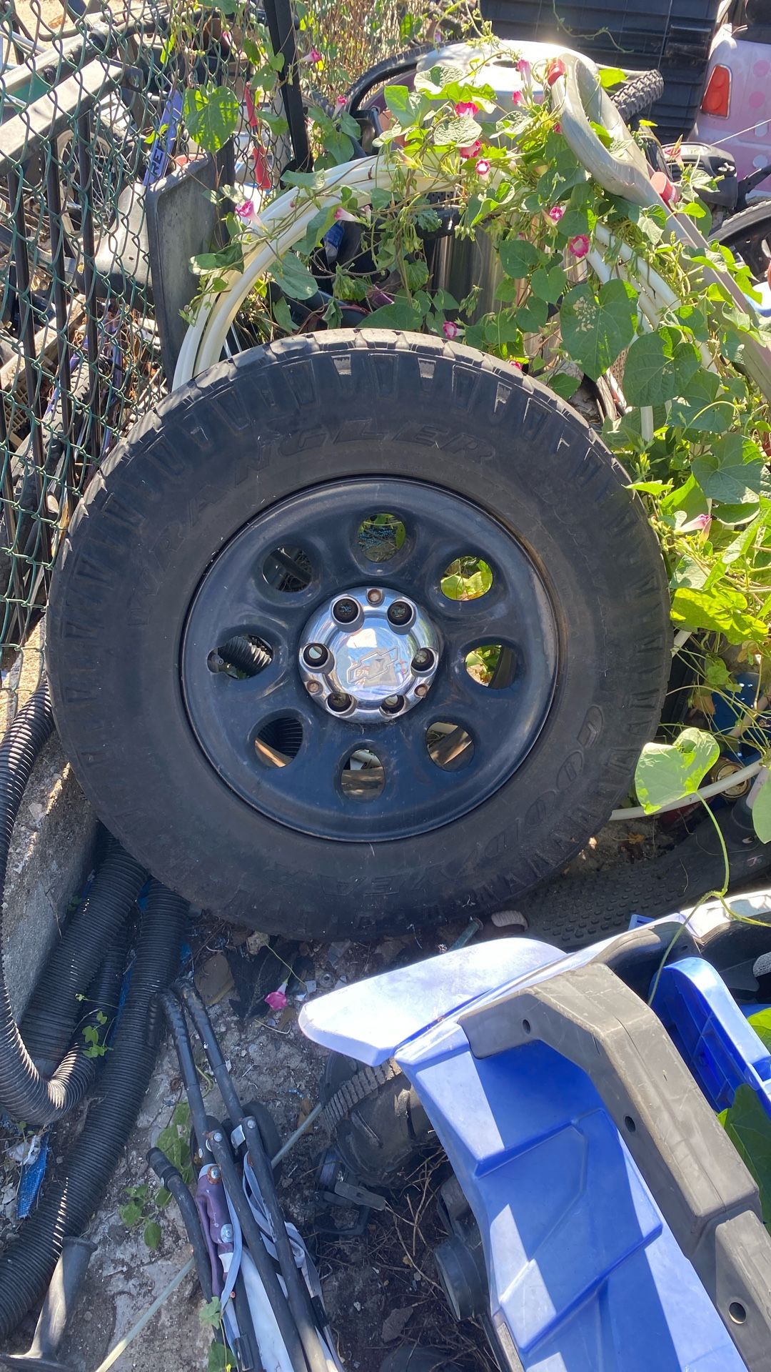 Rims