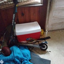 Electric Scooter 