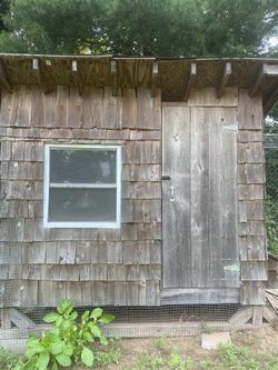 Chicken Coop