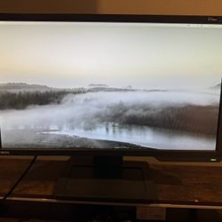 BenQ Gaming Monitor 