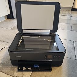 Canon Pixma TS5320 Wireless All-in-One Inkjet Printer
