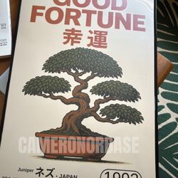 Custom Bonsai Art Print (20x30) - Japanese Juniper Poster - “Good Fortune”