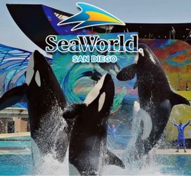 San Diego seaworld ticket