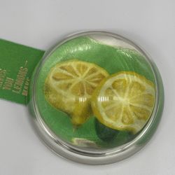 Vintage Clear Domed Glass Magnifying Paperweight
