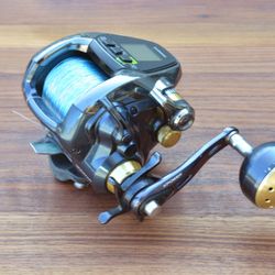 Rod & Reel - Big Game Electric Reel & Rod