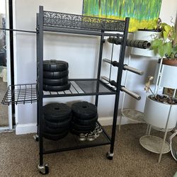 Adjustable Dumbbell And Barbell Set With Stand, Up To 100 Lbs