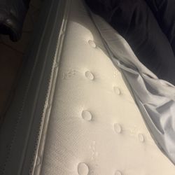 Queen Bed An Box Spring 