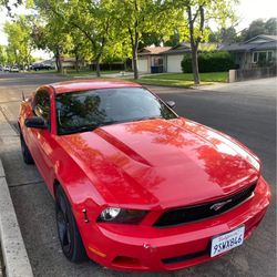 2010 ford mustang (trade or cash)