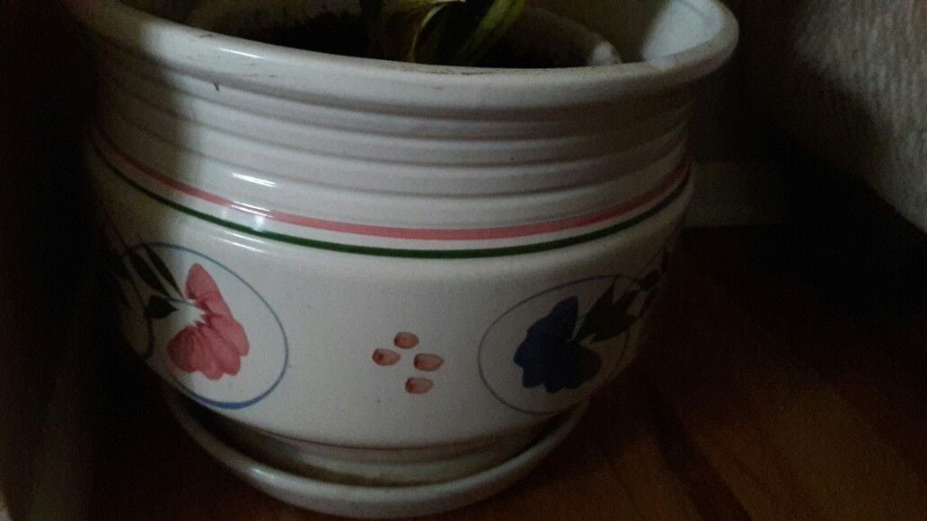 Indoor plant pot