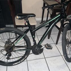Bicycle 