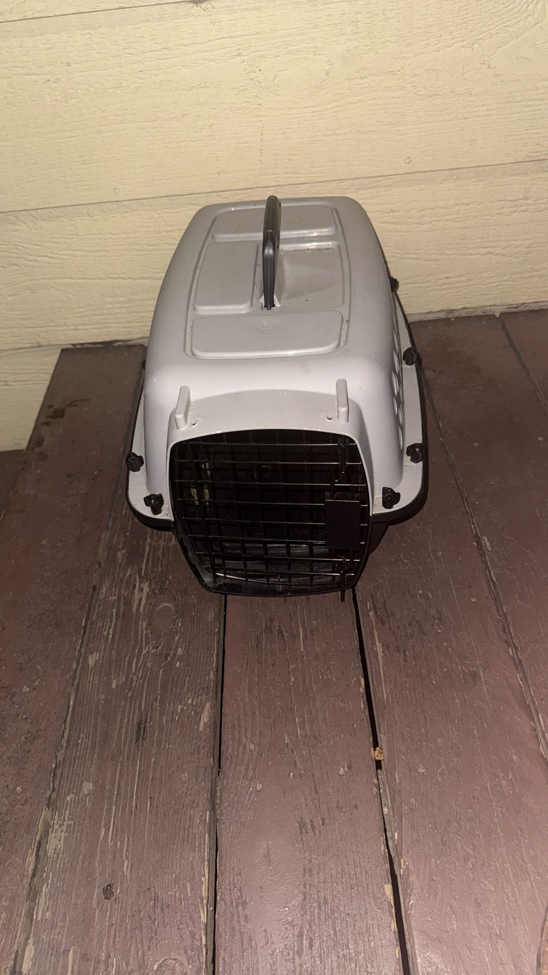 Kennel