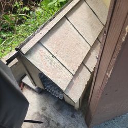 Small Dog House