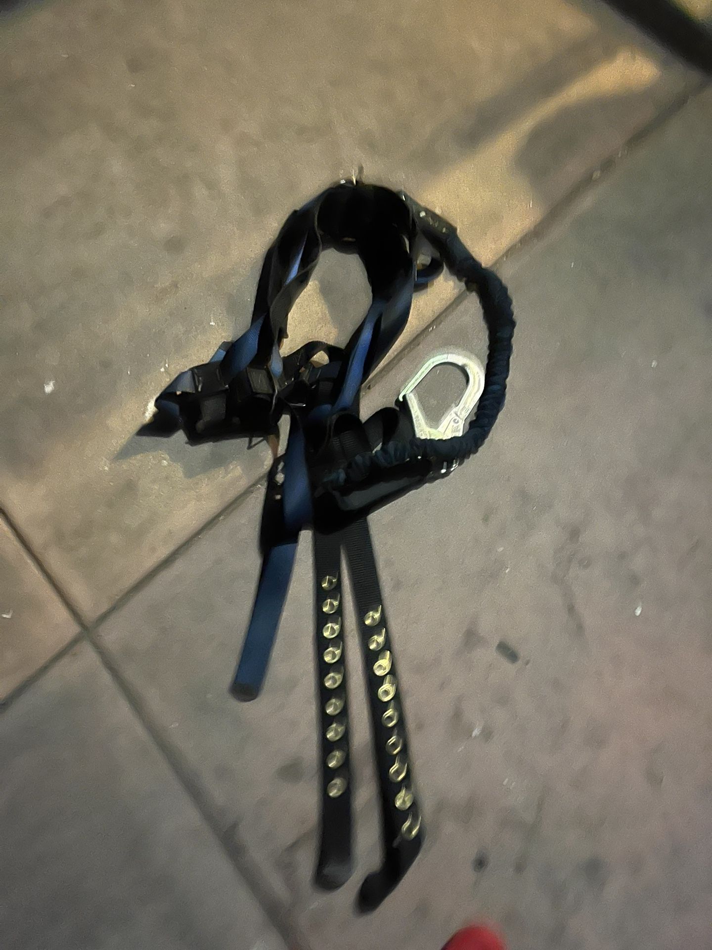 Harness