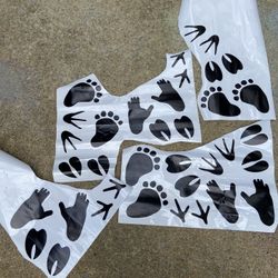Animal Tracks Wall Stickers