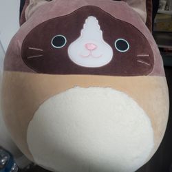 NEW WITH TAGS Squishmallow Woodward Cat