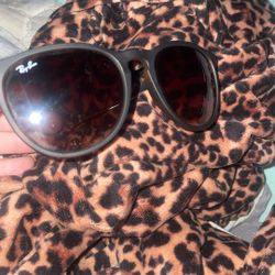 rayban sunglasses