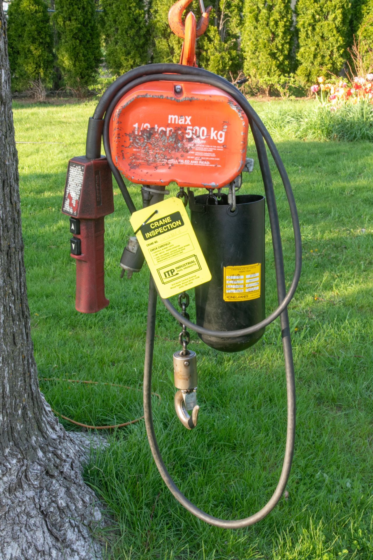 CM Valustar 1/2 Ton Electric Chain Hoist 10' Lift 16FPM 115V 1Ph Model WF