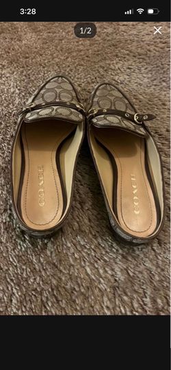 Coach slides