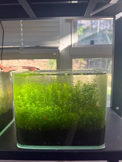 Nano fish tank