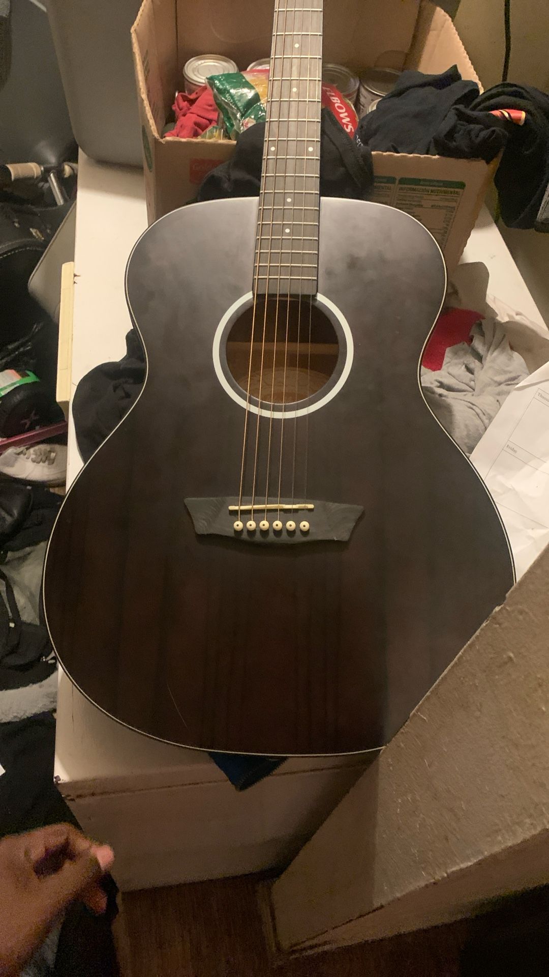 Acoustic Electric Guitar