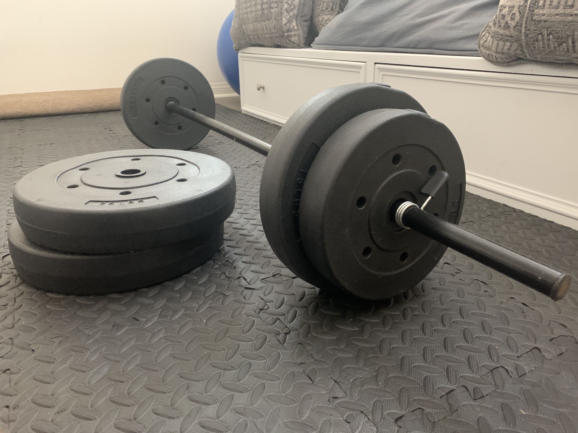 Barbell With 100 Lb Plates