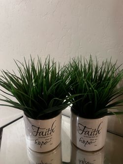 Home plant decor