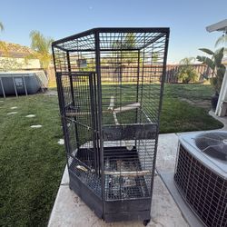Used Bird Cage 