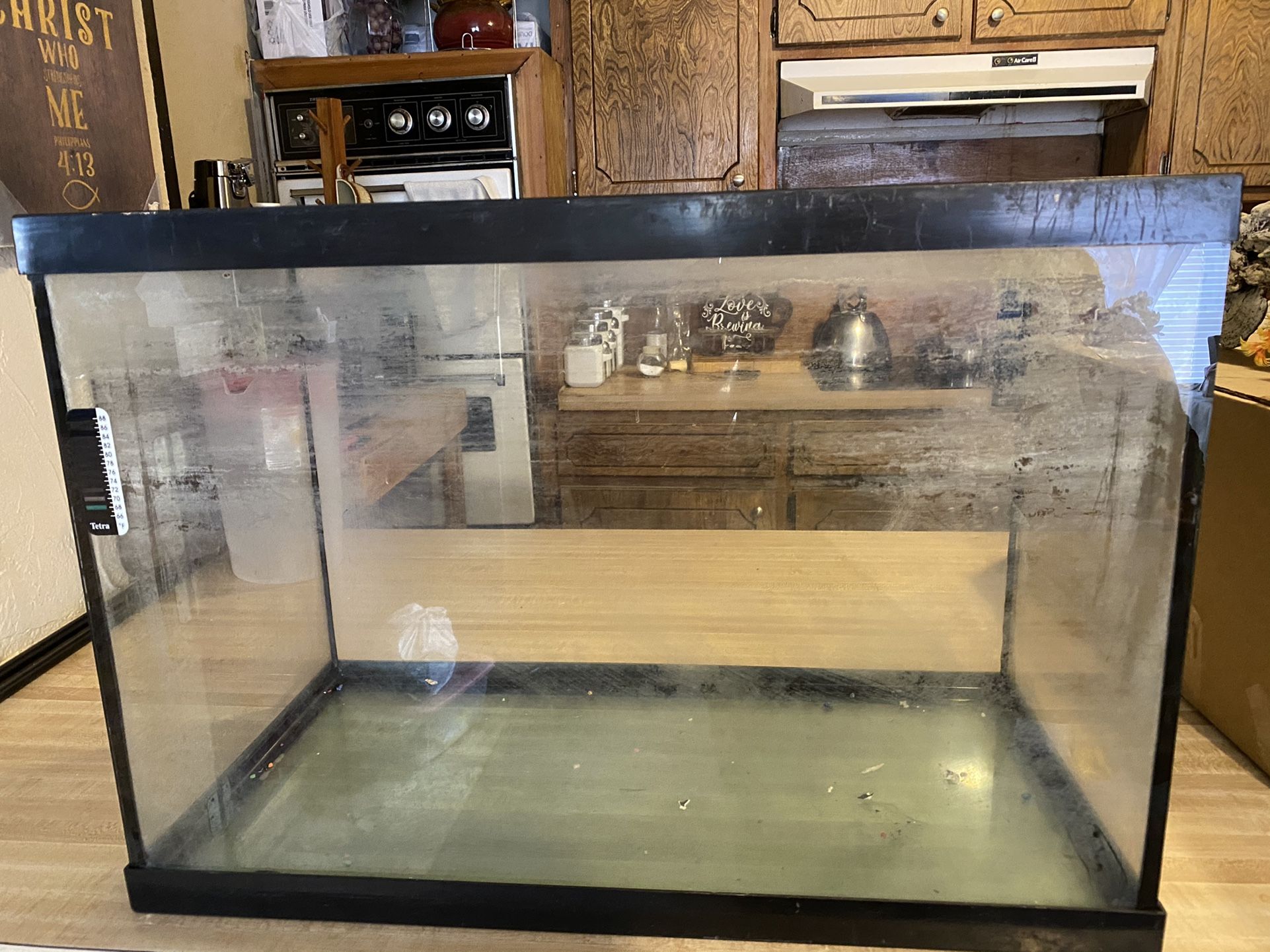 Medium Size Fish Tank