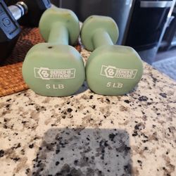 5 Lb Weights 