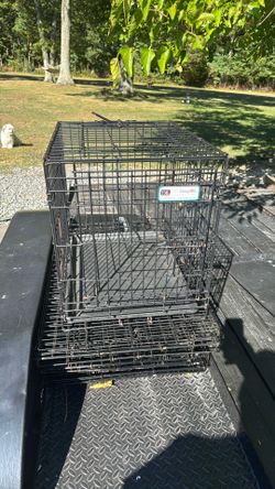 Dog Cage