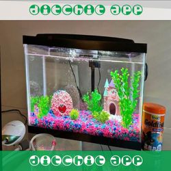 Ready-Made Aquarium Kit - Explore Underwater Beauty allow person