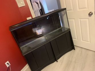 55 Gallon Tank And Stand