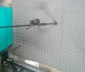 Shimano Fishing Rod And Reel