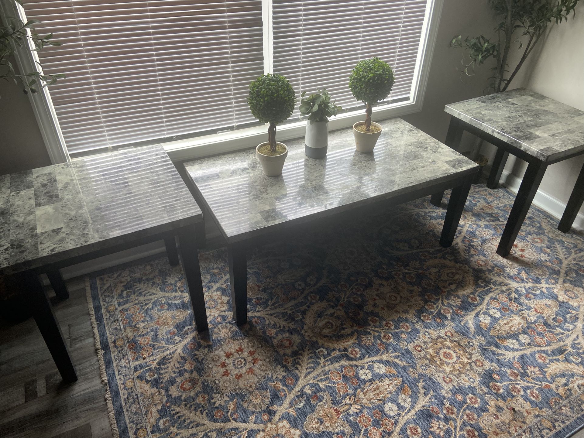 Coffee Table Set 